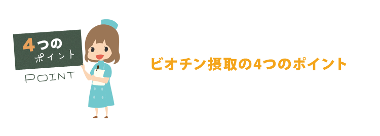 食品からビオチンを摂る際に知っておきたい４つのポイント
