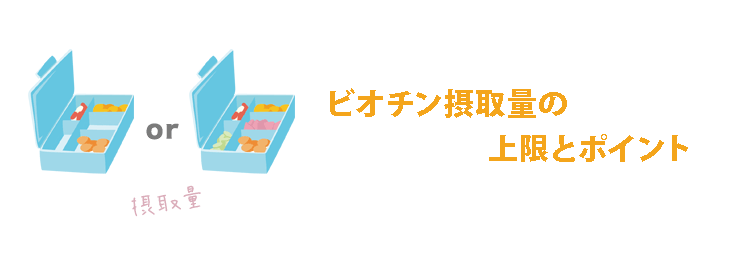 ビオチンの摂取量に関する４つのポイント
