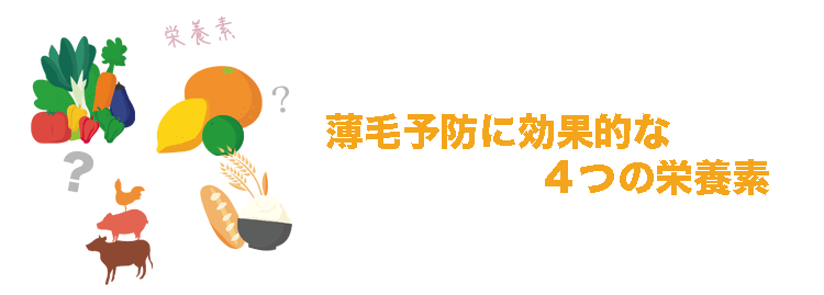 ビオチンと亜鉛の組み合わせで薄毛を予防！知っておきたい４つの栄養素