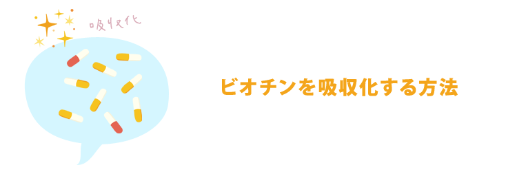 ビオチン(ビタミンH)の吸収を最大化するための５つの方法
