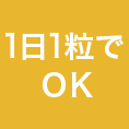 1日粒でOK